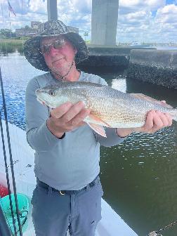 Charleston Inshore Fishing Charters