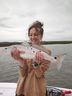 spot tail bass charleston fishing